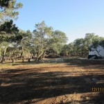 Backyard Facing East