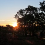 Birthday Sunrise - Front Yard